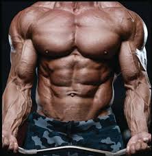 does clenbuterol build muscle