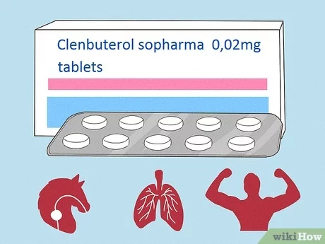 how long does clenbuterol take to work