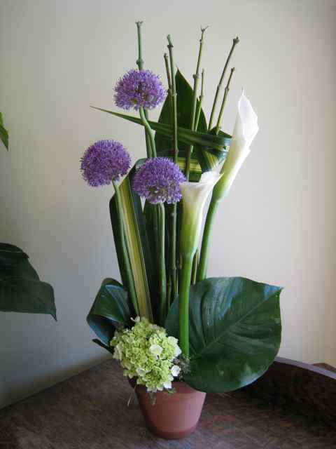 Alliums and Callas 0805-1 | Montreal Florist Abaca