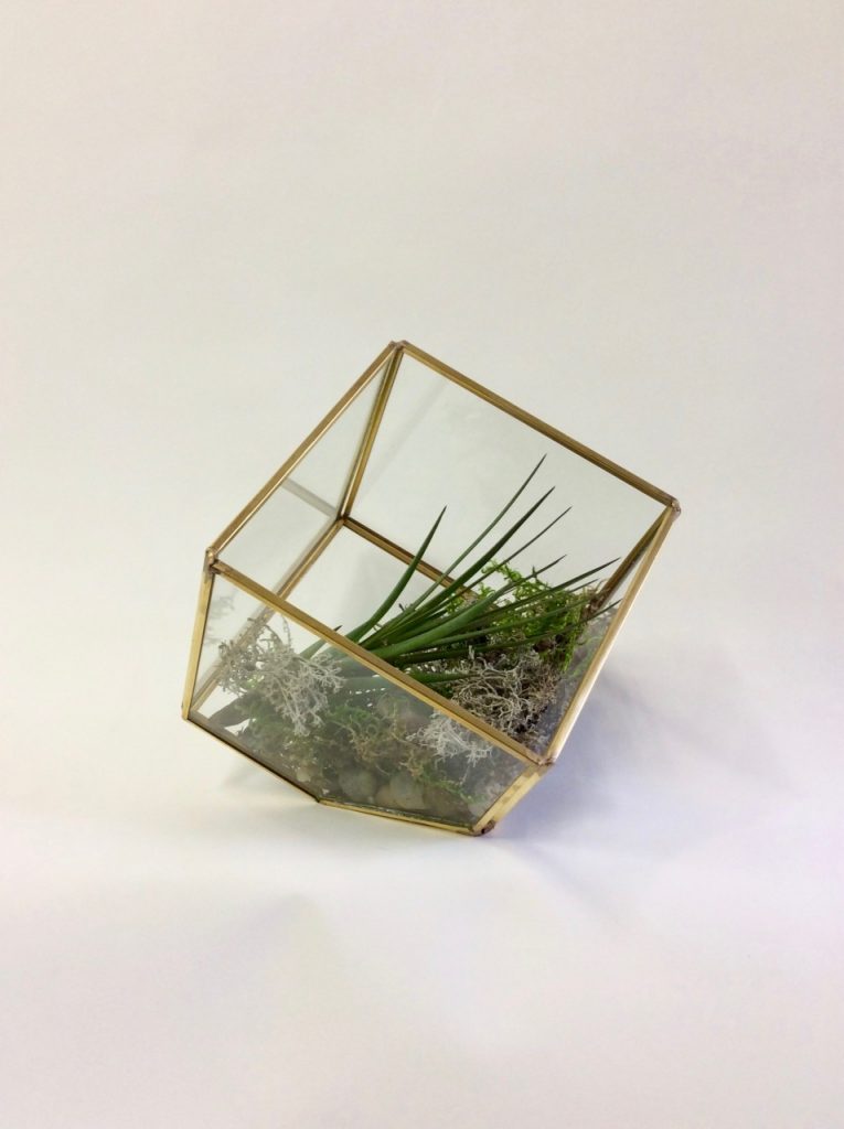 Terrarium de table Fleuriste Montréal Abaca