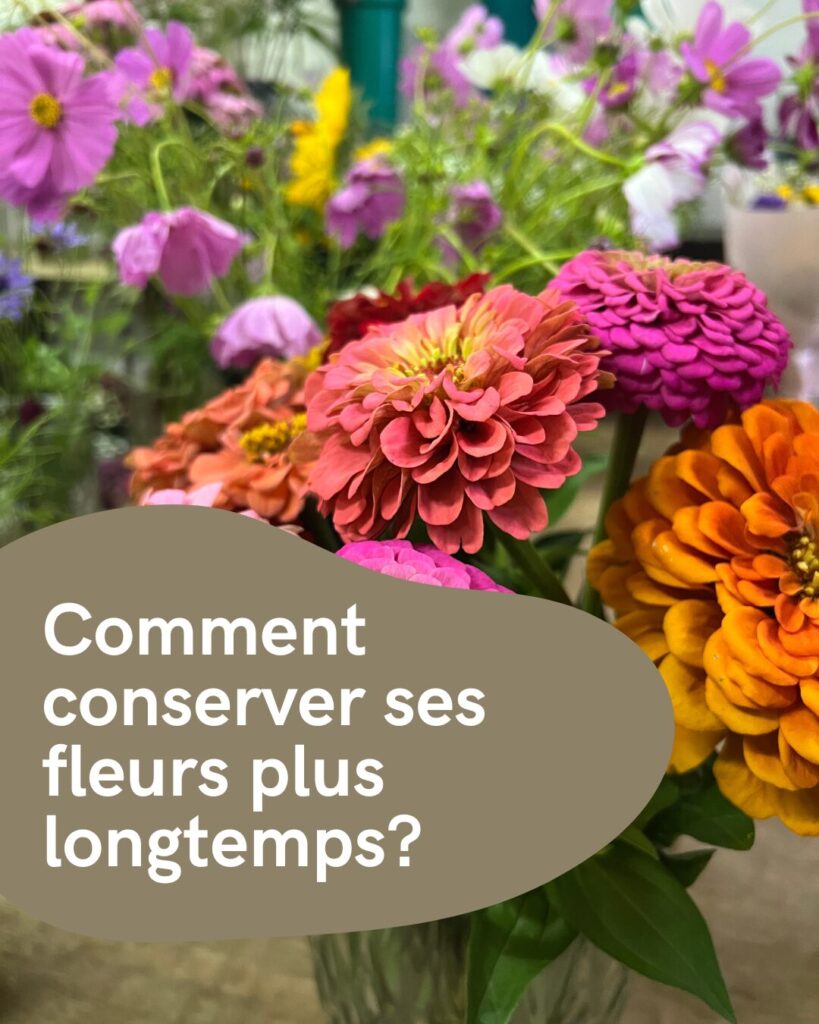 Comment conserver ses fleurs plus longtemps