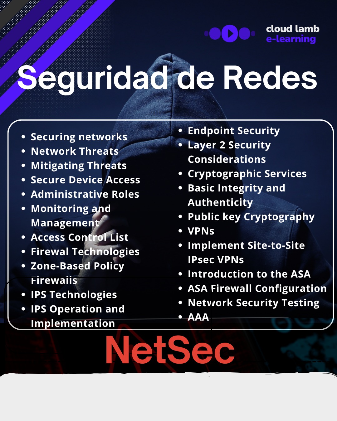 NetSec