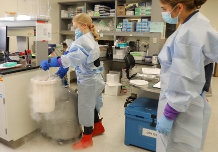 Maternal Fetal Medicine Research Unit