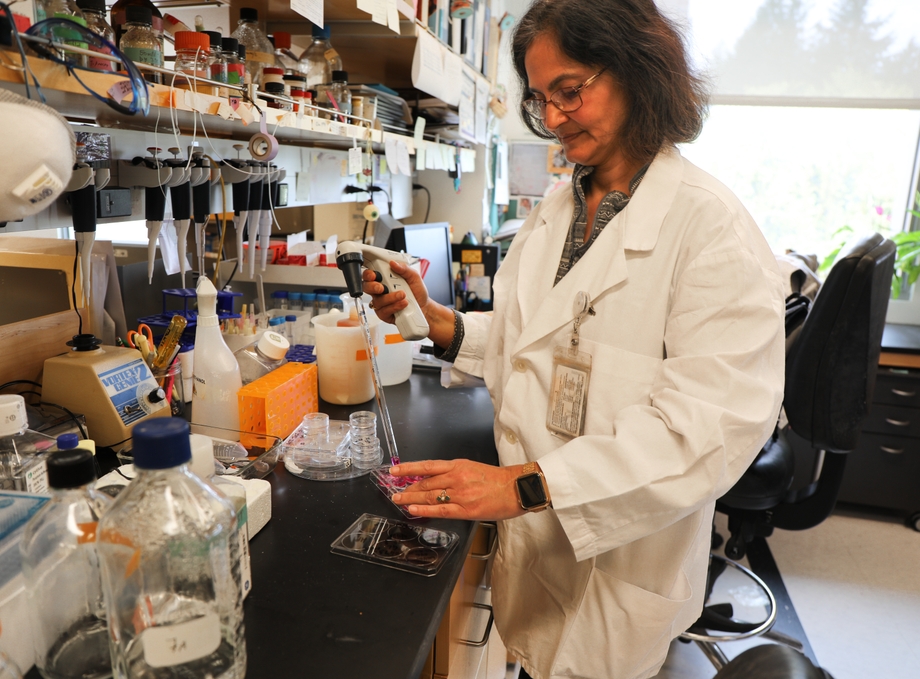 Glaucoma research