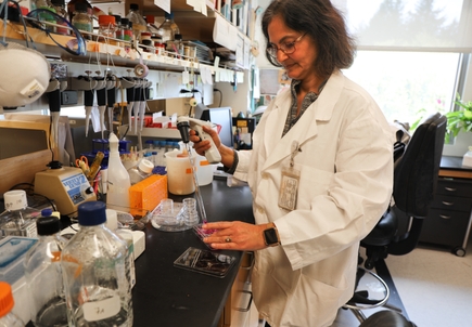 Glaucoma research