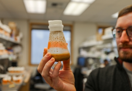 An oft-overlooked cell brain cell could help prevent disease, develop treatments