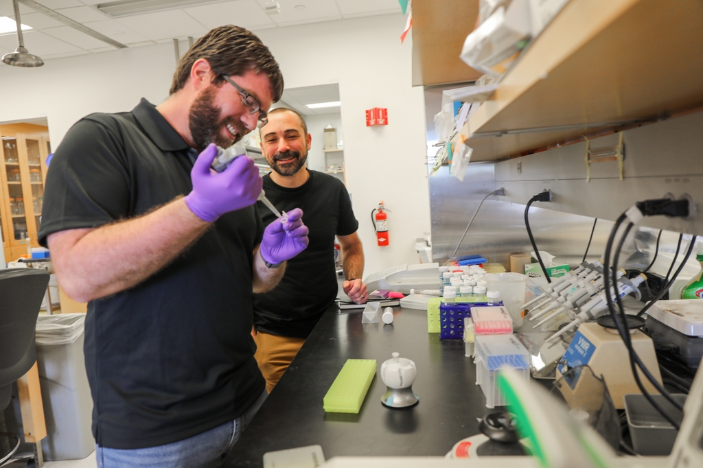 In a new study, researchers Jonathan Pruneda, Ph.D., right, and Michael Cohen, Ph.D., have uncovered a new way proteins can be changed inside cells, increasing understanding of how the immune system works. (OHSU/Christine Torres Hicks) Jonathan Pruneda, Ph.D., left (brown hair, facial hair, eye glasses and a black shirt, holding lab tools), and Michael Cohen, Ph.D., (buzzed black/gray hair, black shirt, watching) talk about cell protein changes while working in their lab at OHSU. (OHSU/Christine Torres Hicks)