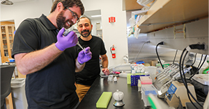 Researchers discover new way to study protein, could lead to new treatments for immune system diseases