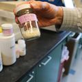Un estudio muestra resultados prometedores en la lucha contra el parásito que causa la malaria