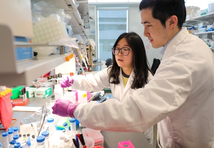Making cancer treatment safer and more effective
