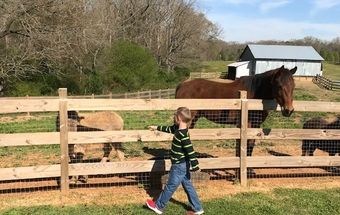7farm