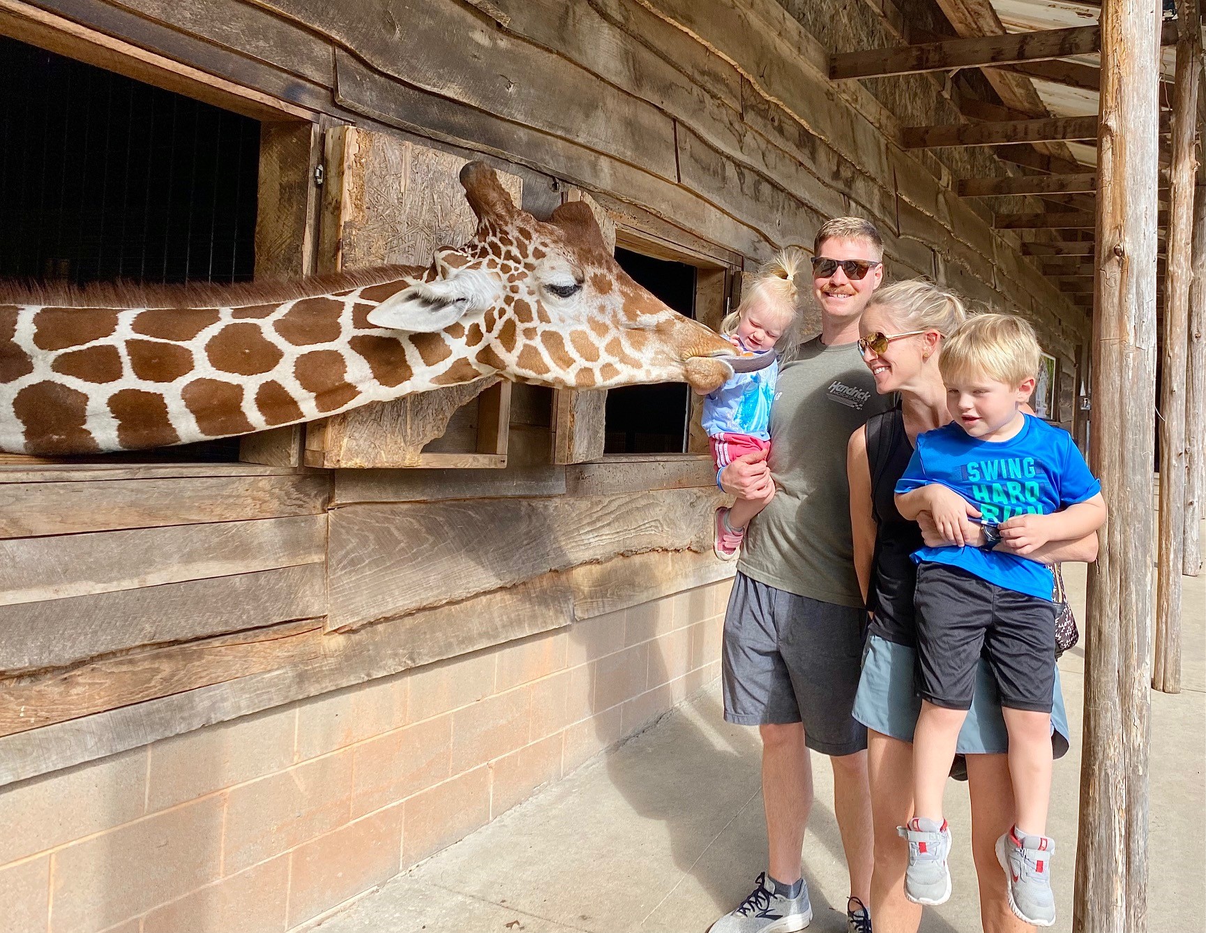 Logan PPD giraffe