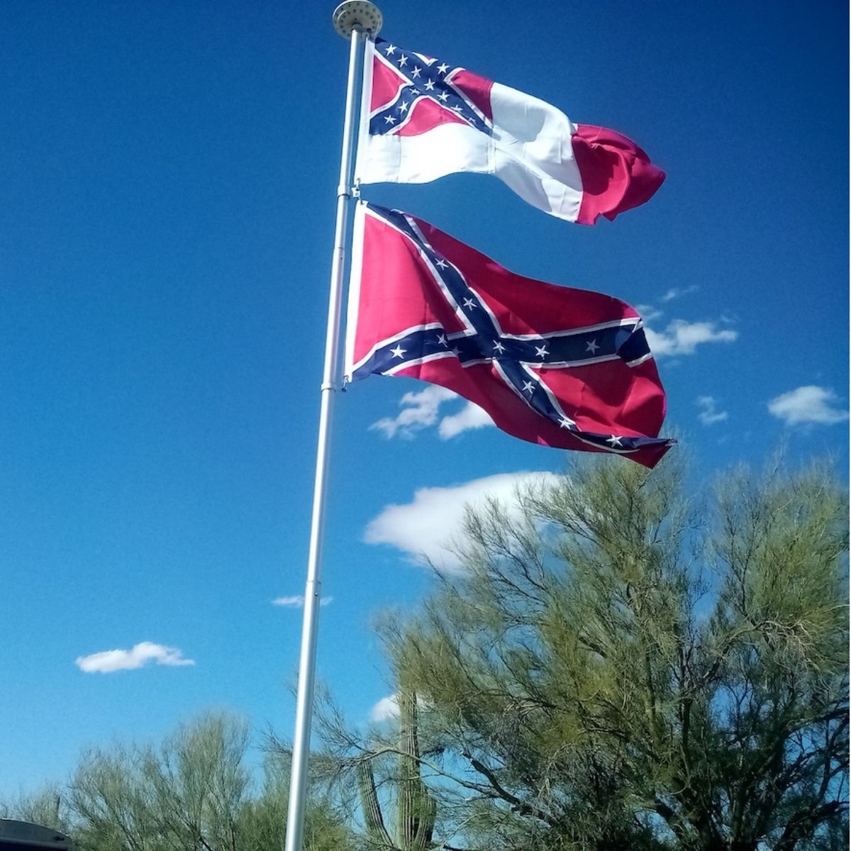Ultimate Flags - State Flags With Confederate Elements