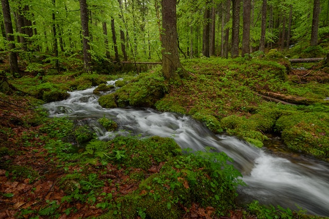 River Sounds for Relaxation and Sleeping | 2 Hour White Noise