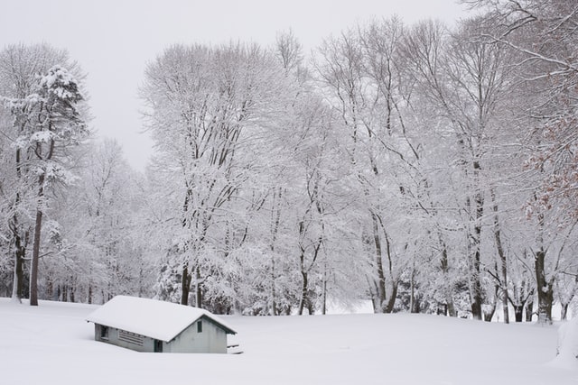 A Winter Walk, by Henry David Thoreau