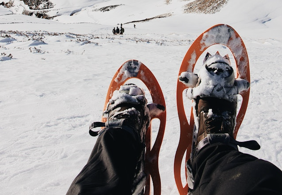 Bonus! Snowshoeing on the McCloud River Trail