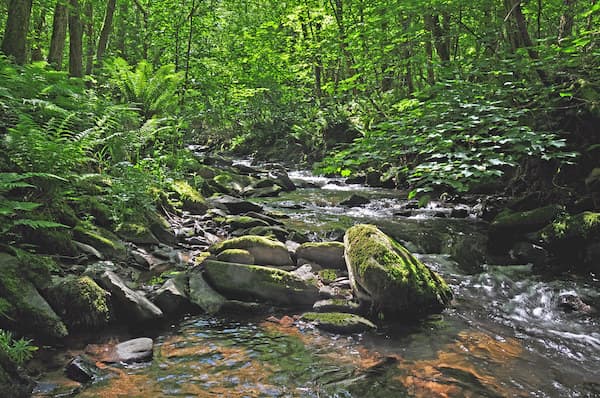 River Heddon