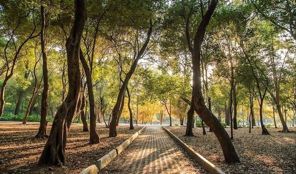 Exploring Mexico: Bosque de Chapultepec