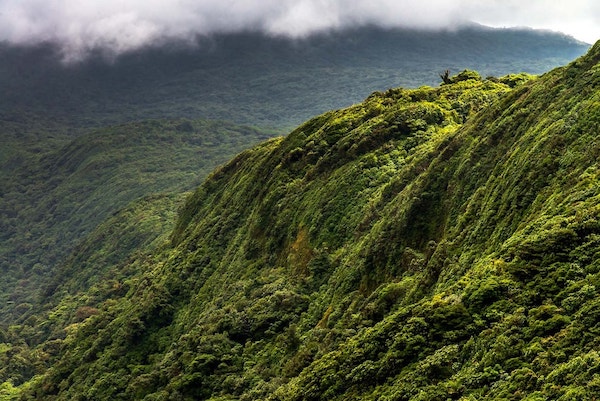 Morning in Costa Rican Valley