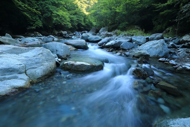 103: International Dawn Chorus Day Beside The Upper McCloud River