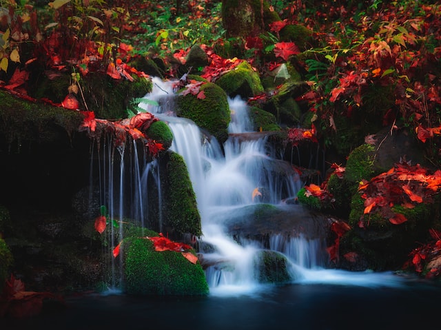 106: Spring Day Beside A Confluence Of Mountain Streams