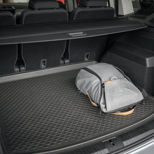 trunk