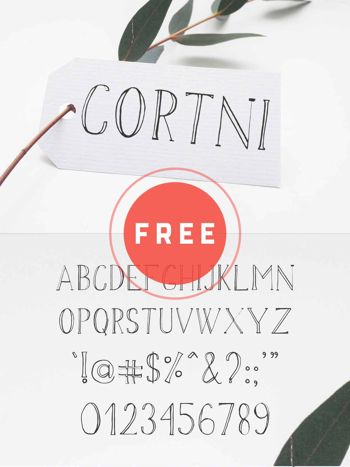 30 Best Collection Of Free Commercial Use Fonts