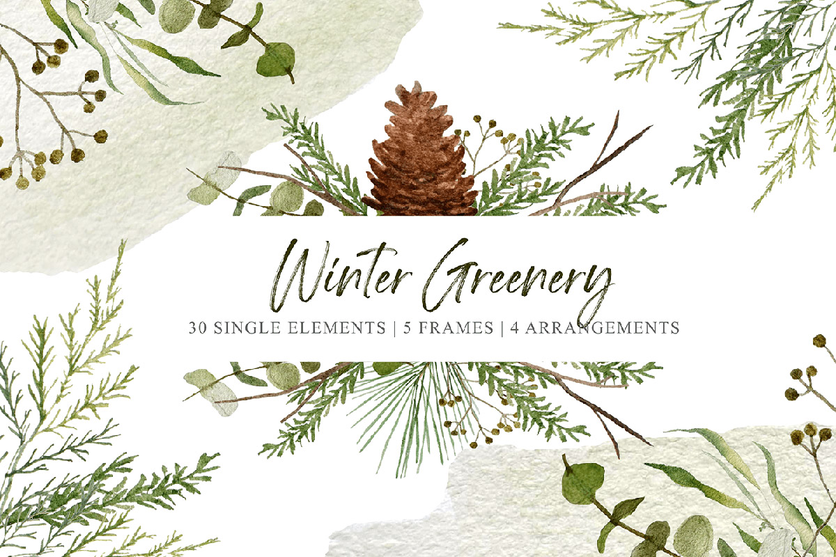 Free Winter Greenery Clipart Set