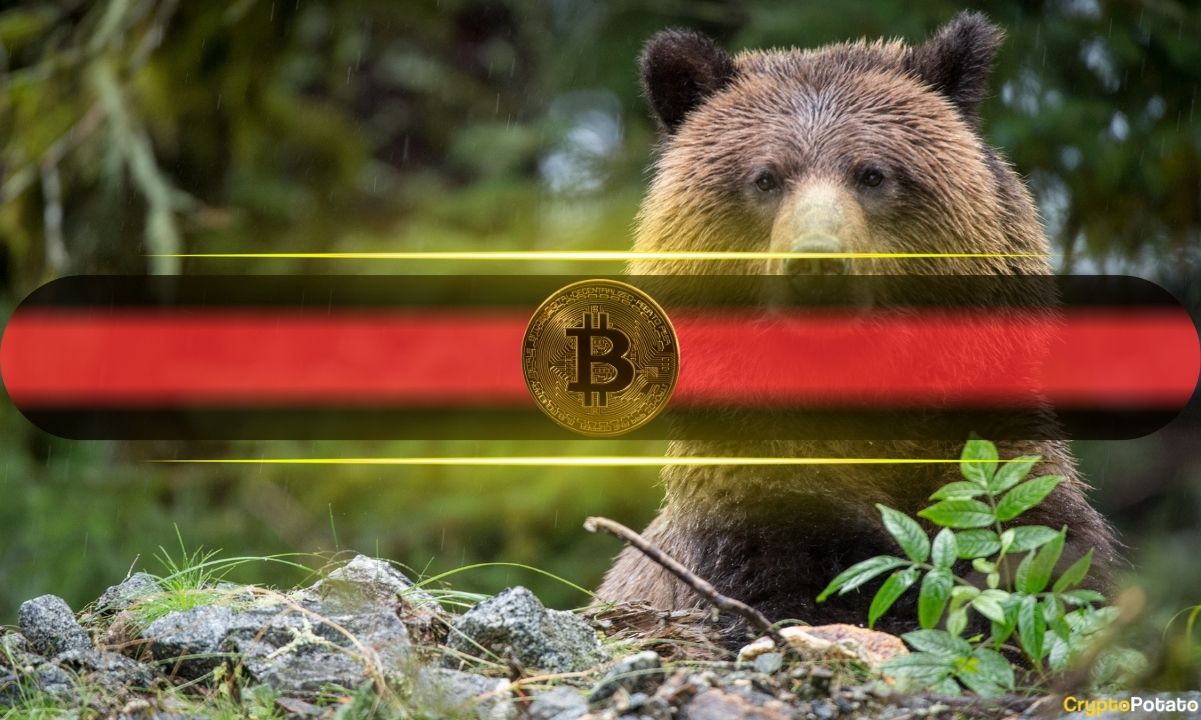 Bitcoin’s Price Drops Toward $71K as Total Liquidations Surpass $500 Million