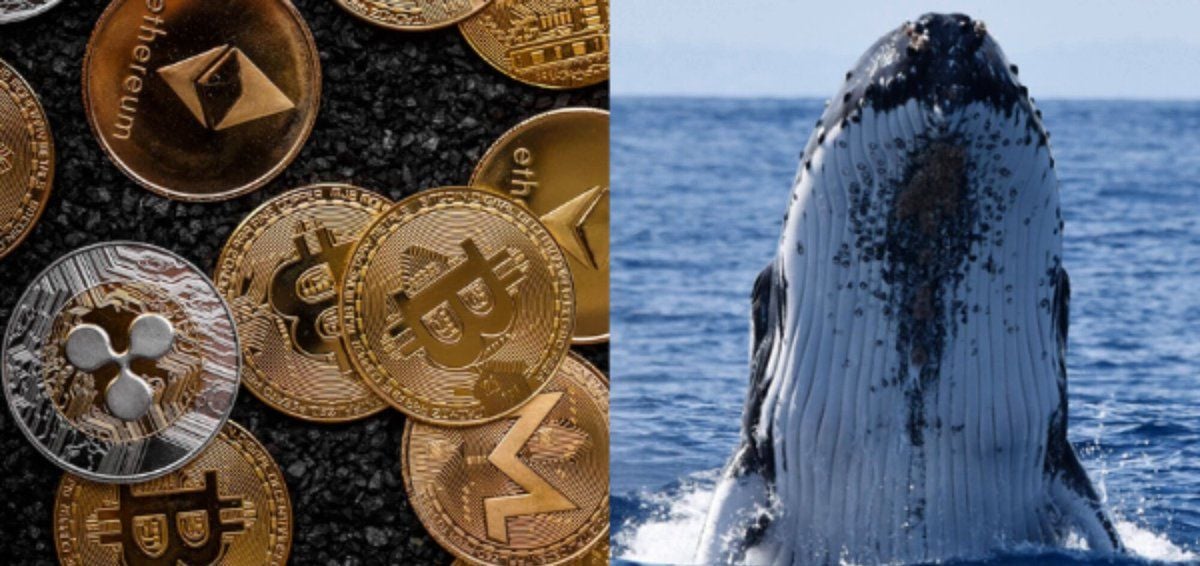 Whales are loading up as the bear market grinds toward its floor