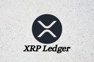 This Is How Serious the XRP Bug Actually Was