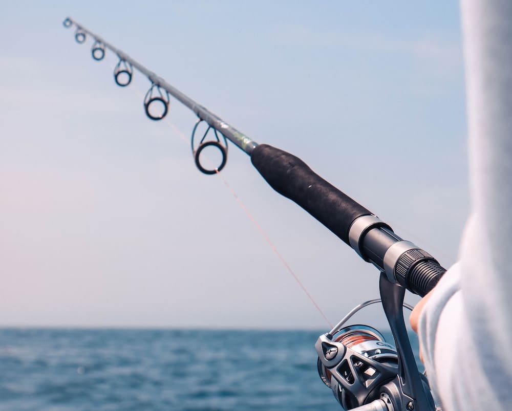 Fishing rod guides