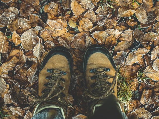 Hiking boots in some leaves