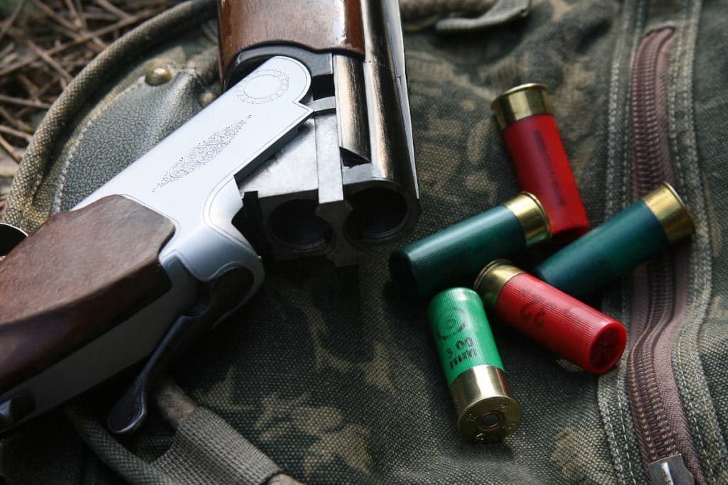 Shotgun And Cartridges