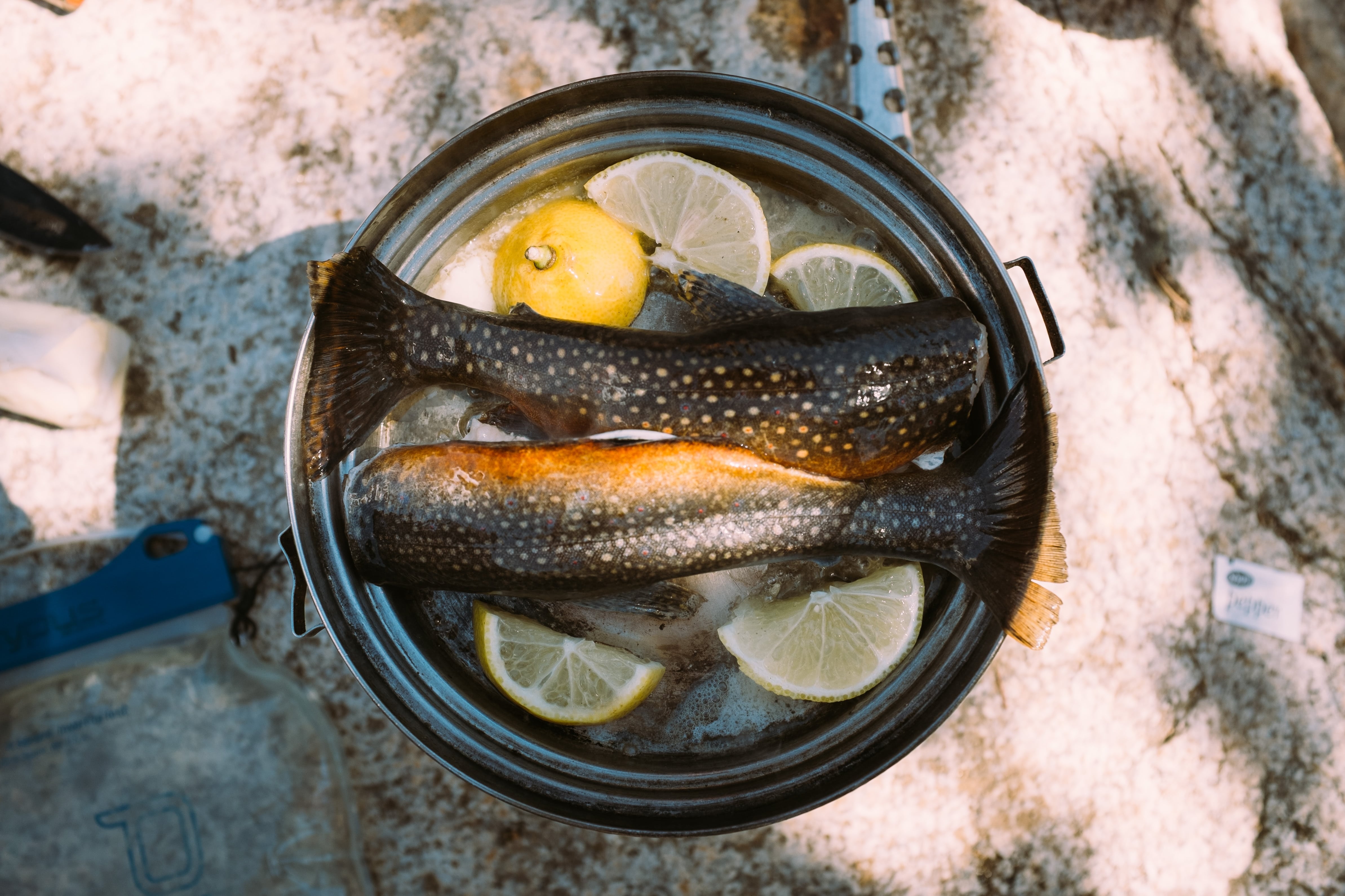Trout Cooking in Pan