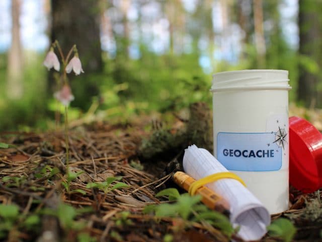 Geocache container in forest