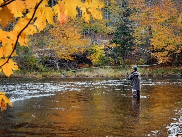 A fly fisherman fishing for Atlantic Salmon on the Margaree River in the fall.