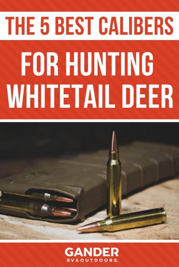 The 5 best calibers for hunting whitetail deer