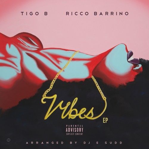 Vibes EP - Tigo B & Ricco Barrino (DJ E.Sudd)