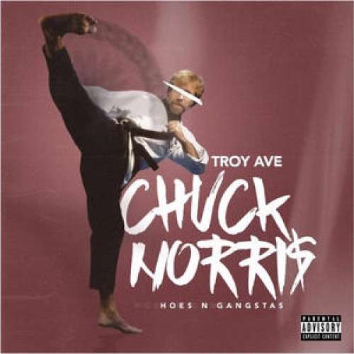 Troy Ave - Chuck Norris (Hoes & The Gangstas)