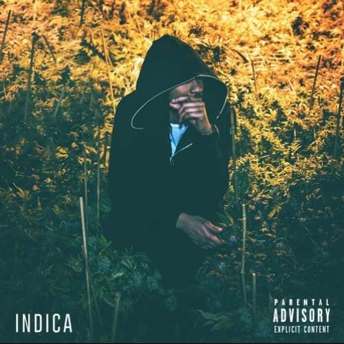 Willy J Peso - Indica