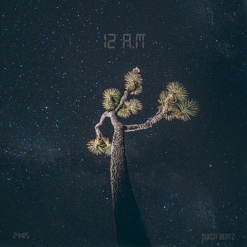 12:AM - 24hrs