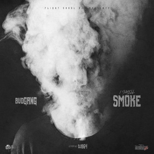 I Smell Smoke - BudGang (DJ 864)