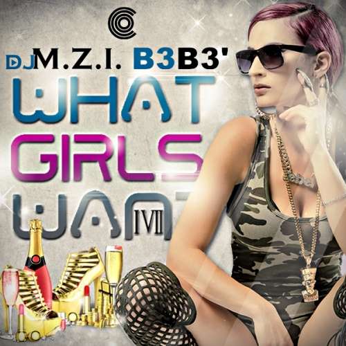 Various Artists - What Girls Want 17