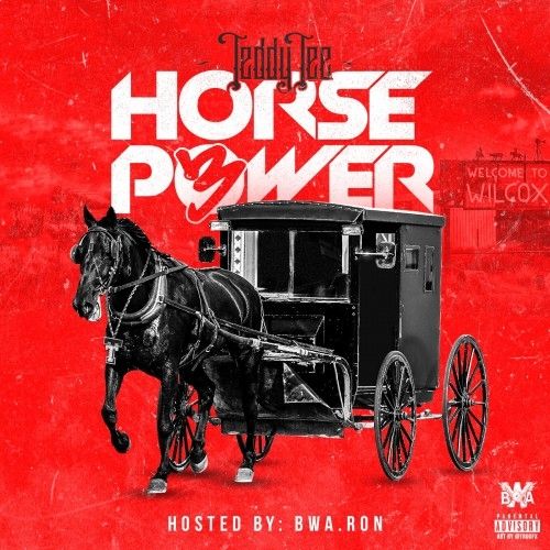 Horse Power 3 - Teddy Tee (BWA Ron)