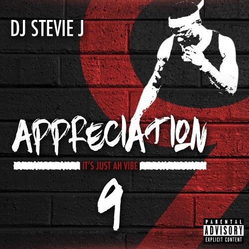 Appreciation 9 - Stevie J