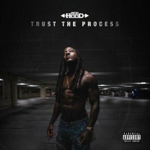 Trust The Process - Ace Hood