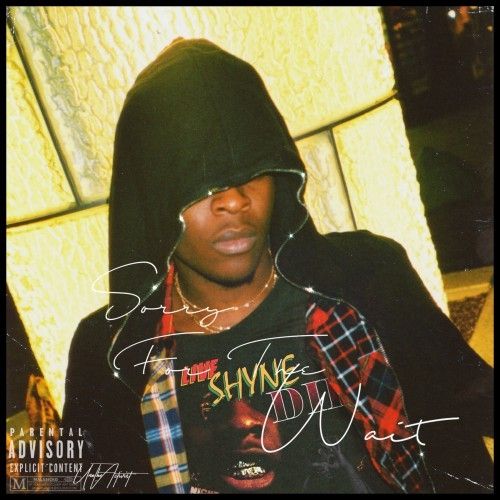 Sorry For The Wait (Brooke's Interlude) - UnoTheActivist