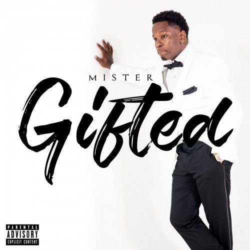 Mr. Gifted - Joe Gifted