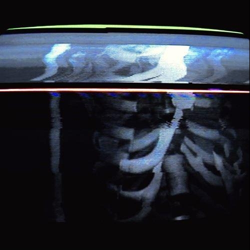 Carcass - Bones